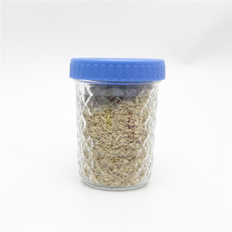 lilnlang shanghai hot sale products mason jar with plastic lid
