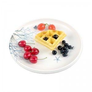 Наклейка на меламиновую посуду, круглая тарелка, оптовая продажа, меламиновые тарелки с печатью на заказ