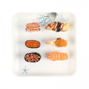 Amazon Rectangular Home Plastic Plate Household Simple Bread Breakfast Plate Cup Plate Hotel Tea Tray Small Tray Fruit Tray