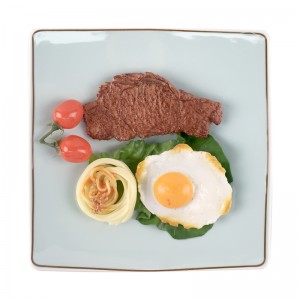 Nordic ìhè akwụkwọ ndụ akwụkwọ ndụ square efere Nordic style steak efere salad square efere