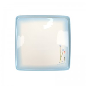 Ndị na-emepụta China Melamine Premium Plates White and Green New Design Custom Melamine Plate Free BPA
