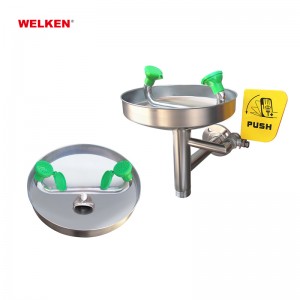 304 Stainless Steel Emergency Wall-mounted Eye Wash BD-508A