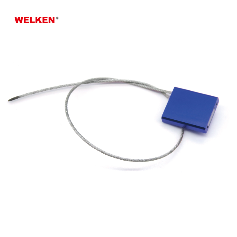 Disposable Steel Wire Lock  BD-8001/8002/8003 Featured Image