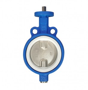 Water & Lug Concentric Butterfly Valve