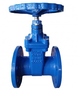 Flange Resilient Seated Gate Valve