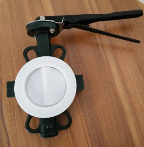 Water & Lug Concentric Butterfly Valve
