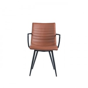 Nordic Style Brown Leisure lounge Dining Chairs
