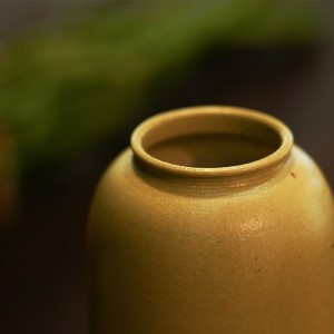 Handmade Cearamic Flower Vessel with Matten texture Tender Green Japandi Style Designs