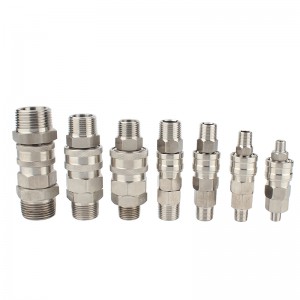 Air Coupler Quick-Connect Stainless Steel 304