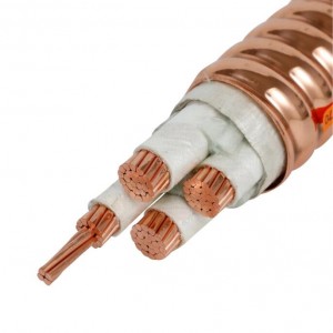 YTTW 0,6/1KV 2,5–120 mm² 1–5 žil, fleksibilen ognjevarni napajalni kabel z mineralno izolacijo