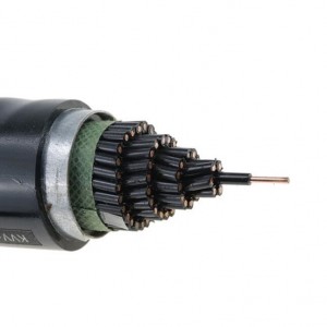 KVV/KVVP 450/750V 0,5-10мм² 2-61 судалтай зэс дамжуулагч PVC тусгаарлагч ба бүрээстэй хяналтын кабель