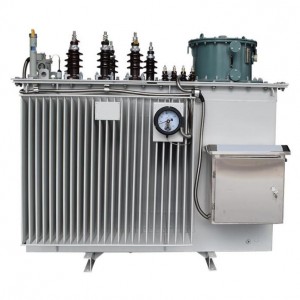 SVR 6-35KV 630-20000KVA Outdoor three-phase high voltage line feed automatic voltage regulator