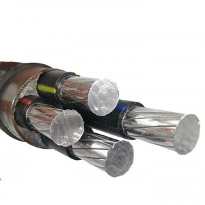 YJHLV(22/82) 0,6/1КВ 10-400мм 1-5 ядролы алюминий қорытпасы таспа тізбегі брондалған қуат кабелі