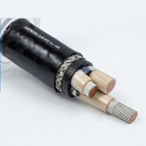 CEF(CVV)/DA сериясы 0,6/1КВ EPR(PVC、NR+SBR) Кеме жана деңиз курулушу үчүн изоляцияланган электр кабелдери