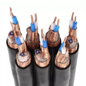 DJY(P) VP 300/500V 0.5-24mm² Copper core XLPE insulated tooj liab hlau braided shielding computer cable