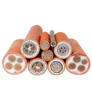 BTTZ/NG-A(BTLY) 0.6/1KV 2.5-400mm² 2-5 cores Flame retardant mineral insulated copper core power cable