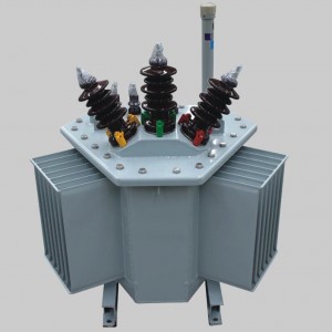 S13-M.RL 10KV 30-1600KVA Trīsfāzu pilnībā noslēgts stereoskopiskais tinums dzelzs serdeņa eļļas iegremdējams strāvas transformators