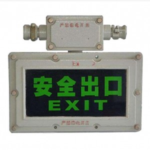 DGS/DJS 5-24W 127V Luz indicadora de emergencia de seguridad tipo ignífugo para minas