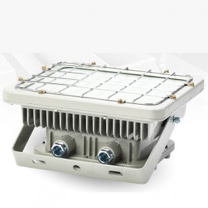 DGS seriyali 30-200W 127V mina portlashiga chidamli LED proyeksiyali chiroq (Minning otashga chidamli LED sel nuri)
