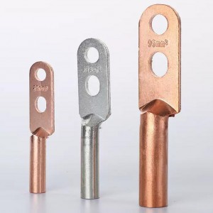 DT2 10-500mm² 8.4-17mm Double hole type Copper galvanized connecting wire terminal cable lugs