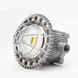 DGS  12-75W  127V  Explosion proof energy-saving and environment-friendly LED roadway lamp for mine tunnel