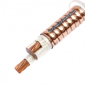 YTTW 0,6/1KV 2,5-120mm² 1-5 žil Ohnivzdorný napájecí kabel s minerální izolací
