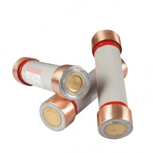 RN series 3-40.5kv 50kA 2023 New type indoor medium and high voltage fuses made in China