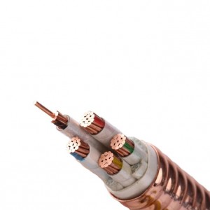 YTTW 0,6/1KV 2,5-120mm² 1-5 core Kabel listrik berisolasi mineral tahan api yang fleksibel