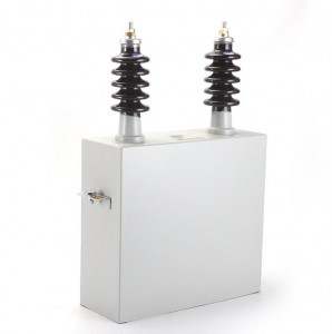 Condensatori di potenza del filtro CA ad alta tensione AFM 4/6/8/12/12√3KV 2-334kvar per filtri ad immersione in olio