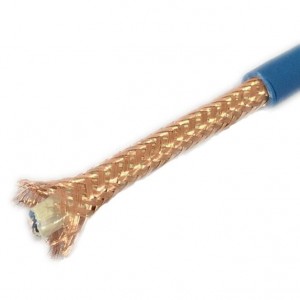 DJY(P)VP 300/500V 0.5-24mm² ស្នូលស្ពាន់ XLPE insulated copper wire braided shielding computer cable