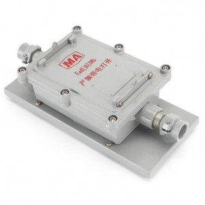 DGS/DJS 5-24W 127V Mine Tipo de luz indicadora de emerxencia de seguridade ignífuga