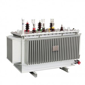 Serye ng SH15 50-2500KVA 6-11KV Three phase amorphous alloy na ganap na selyadong oil immersed power transformer