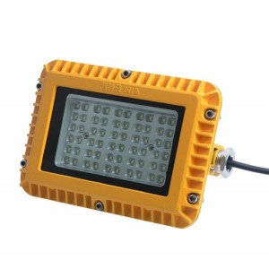 DGS series 30-200W 127V ականապայթյունակայուն LED պրոյեկցիոն լամպ (Ականային բոցավառ LED ջրհեղեղ լույս)