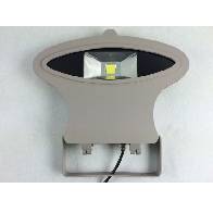 Cheap PriceList for Sensor Floodlight -
 factory Garden IP66 10w 30w 50w COB LED flood lights – Golden Classic