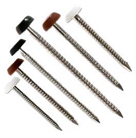 Polytop pins plastic head stainless steel nails for roof