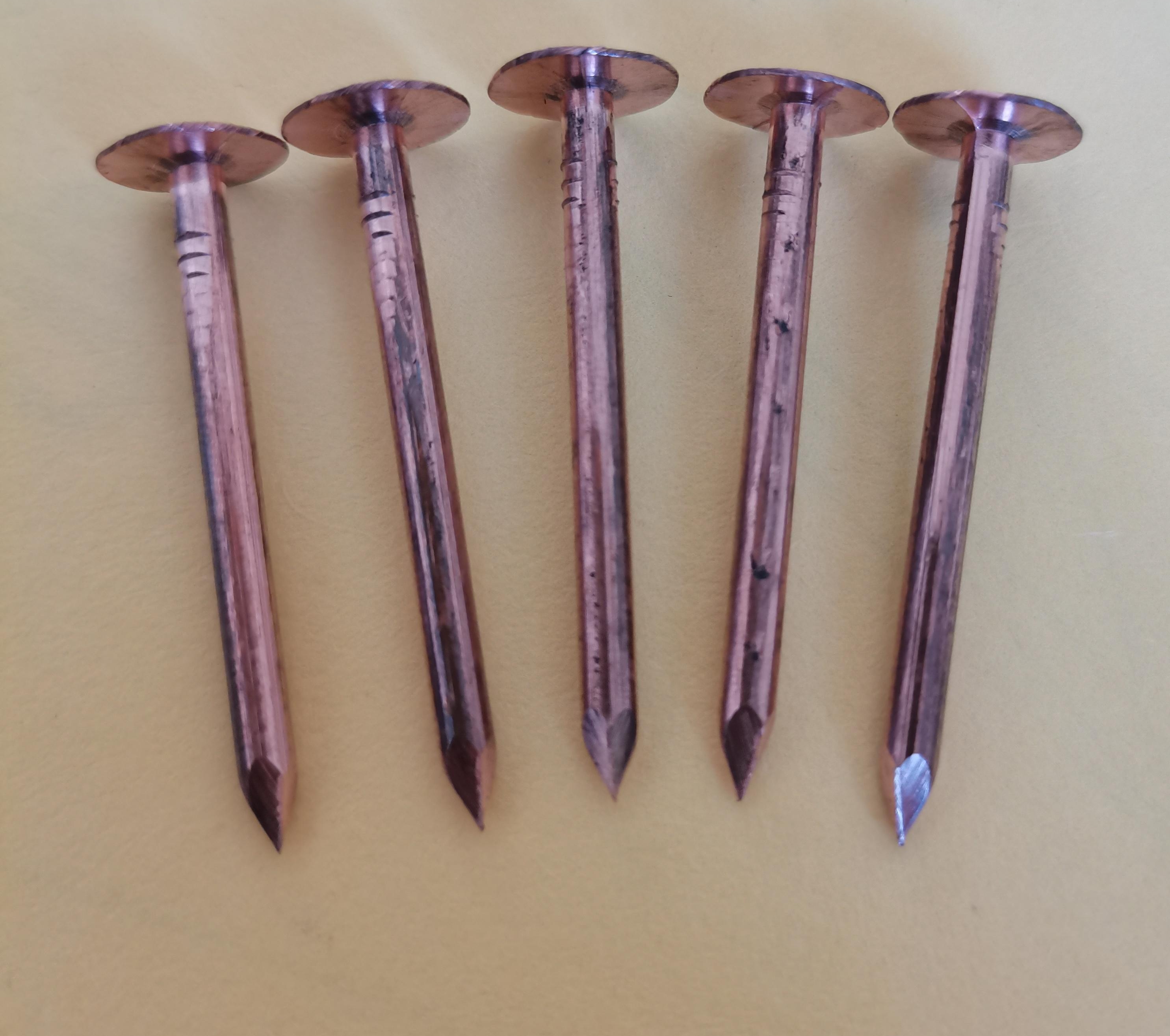 Hot sale Aluminum Common Nails -
 copper nails, roofing   – Marlene