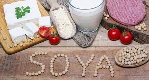 Past, present and future of soy protein isolate