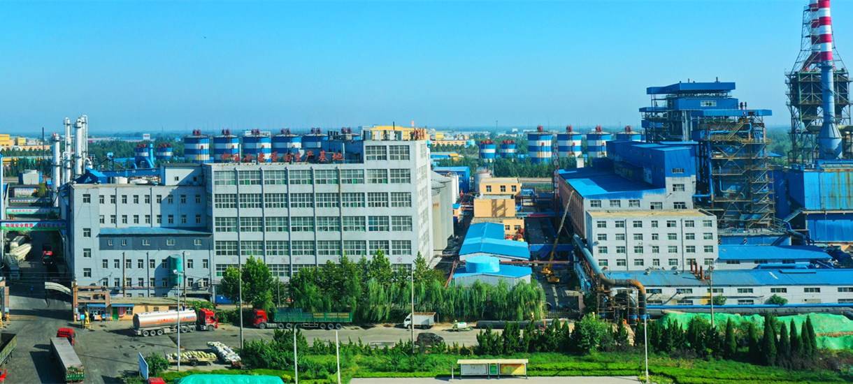 Hvede dyb proces fabrik - Guanxian Xinrui Industrial Co., Ltd.