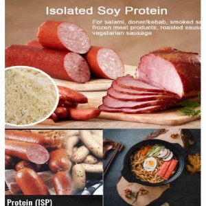 Wholesale Meat Substitute - Factory Cheap Plant Extract Soy Protein Isolate With Cas 9010-10-0 – Ruichang