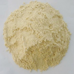 9030 Dispersion Type, Isolated Soy Protein