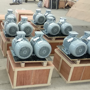 BRUSHLESS HIGH SPEED PERMANENT MAGNENT GENERATOR