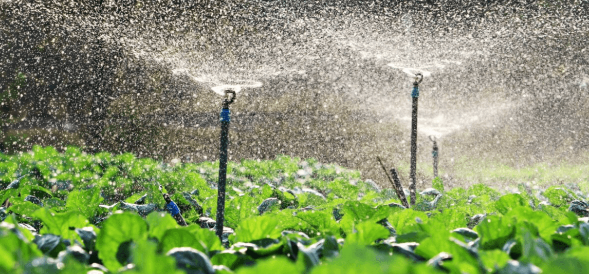 Boost Irrigation Efficiency: Solenoid Valves with Timers