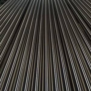 China OEM Round 201 Stainless Steel Tube - 316L sanitory stainless steel pipe – Cepheus
