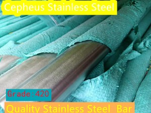 Stainless Steel 420 Shaft Manufacturer, Supplier