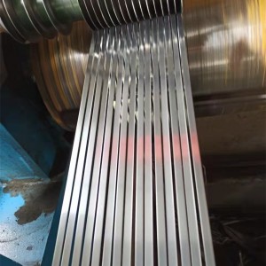 Stainless Steel 301 Strips