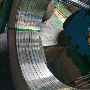 Stainless Steel 301 Strips