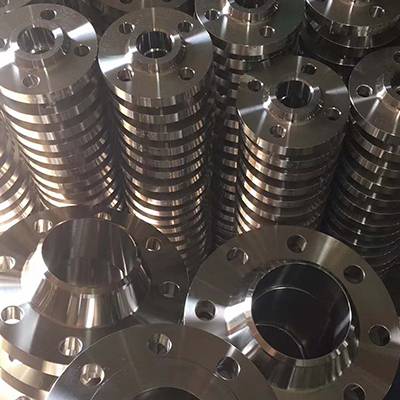 Hot Selling for Thin Wall Stainless Steel Tubing - 304 stainless steel flange – Cepheus
