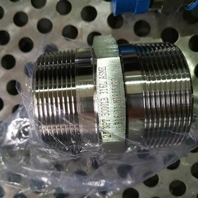 factory Outlets for 201 Seamless Stainless Steel Pipe - 316l stainless steel hex nipple – Cepheus