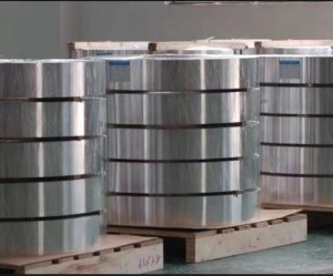 Wholesale Price AISI ASTM A240 Ss 2101 2520 2304 2205 2507 Stainless Steel Strip