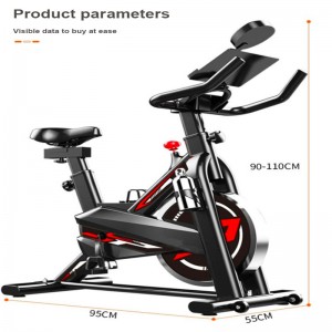 CX706 Home Sports Spinning Bike Wholesale